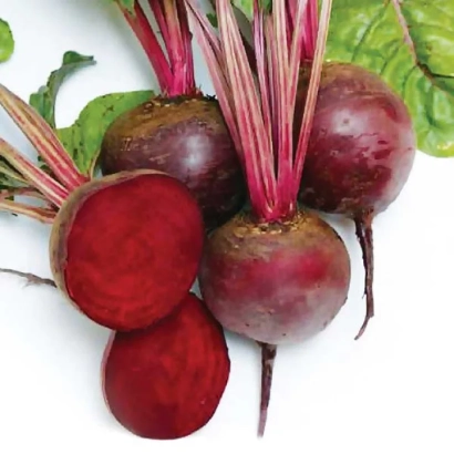 Fresh beets with green tops on a white background - Larka