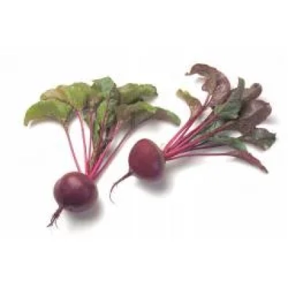 Beetroot roots with leaves on white background - Monalisa RZ