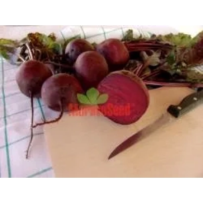 Fresh beetroot vegetables with greens on a wooden board, one sliced, knife beside - Monika