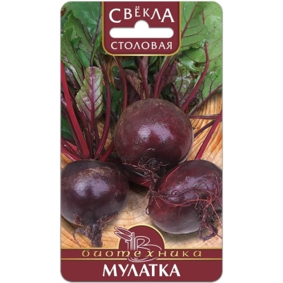Пакет семян столовой свеклы сорта Мулатка с изображением корнеплодов.