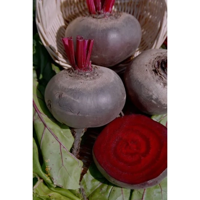 Світові коренеплоди з зеленими листям та нарізаний шматочок, що демонструє червоний центр - Незрівнянна А 463