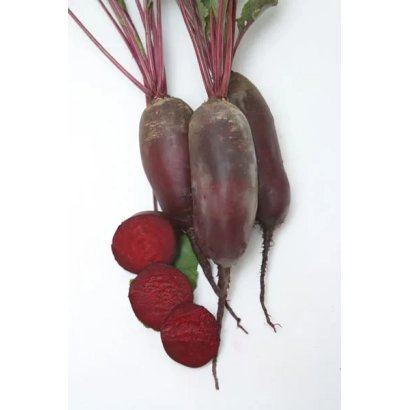 Світові коренеплоди сорту Ніжність на білому фоні