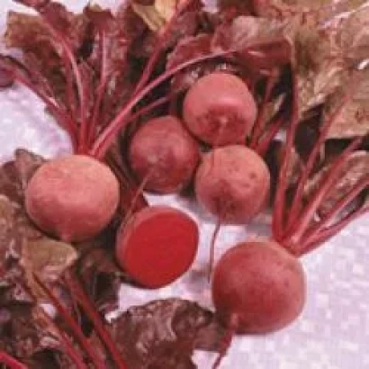 Свекольные корнеплоды с ботвой на светлом фоне - Нобол