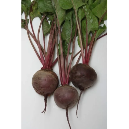 Три буряки з листям на білому фоні - Одноросткова