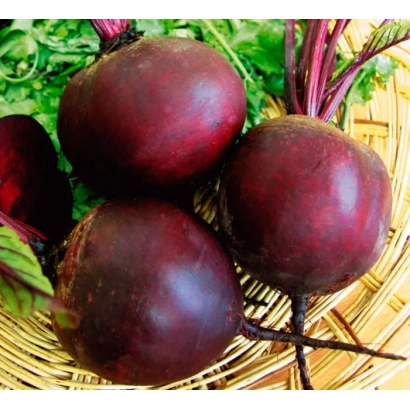Fresh beets in a woven basket - Red Bul