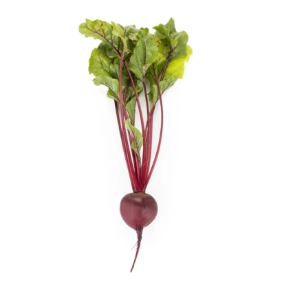 Свекольная ботва с корнеплодом сорта Рицар F1