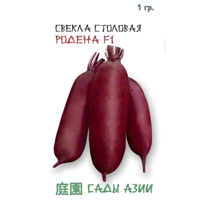 Семена столовой свеклы Родена F1