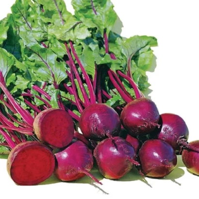 Свекольные корнеплоды с зелеными листьями на белом фоне - Юлис