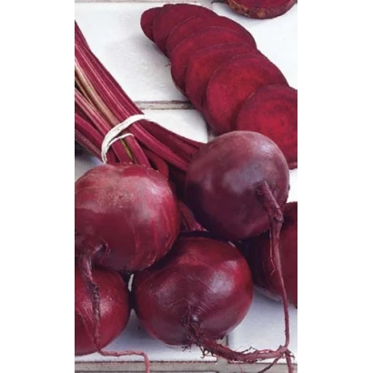 Свекольные корнеплоды сорта Уральская борщевая - УРАЛЬСКИЙ БОРЩ