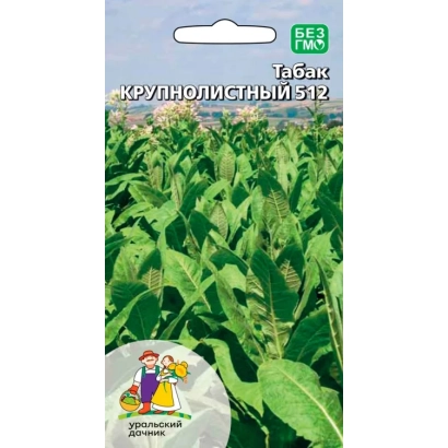 Пакет насіння тютуну Крупнолистний 512 на фоні посівів