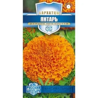 Marigold seeds named Янтарь on packaging with large image of orange flower