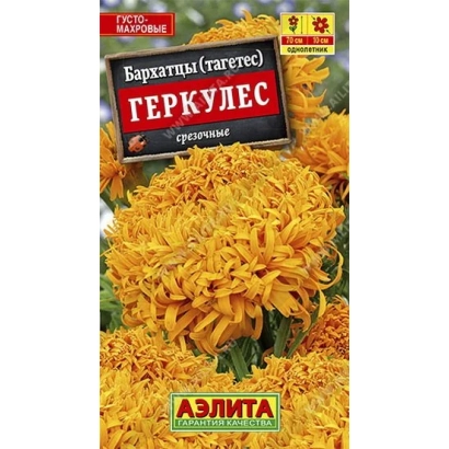 Seed packet Gerkules (tagetes) with image of yellow flowers