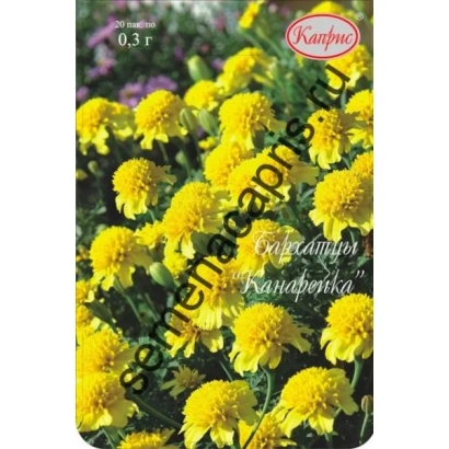 Seed packet Kanareyka with image of yellow flowers