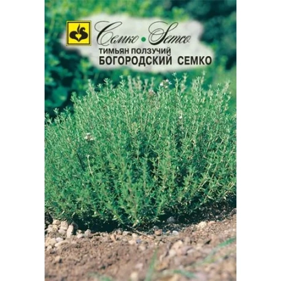 Thyme seed packet «Bogorodsky Semko»