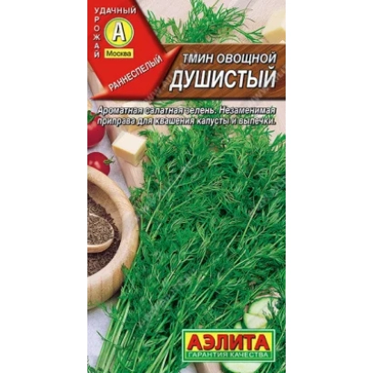 Pack of Spicy Fennel seeds from Aelita