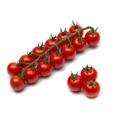 Свежие помидоры черри на ветке и отдельно на белом фоне - АДОРИОН