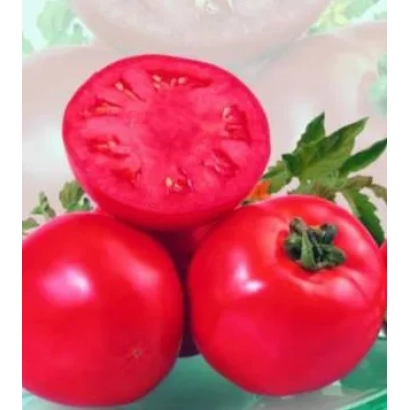 Свежие красные томаты сорта Айша F1