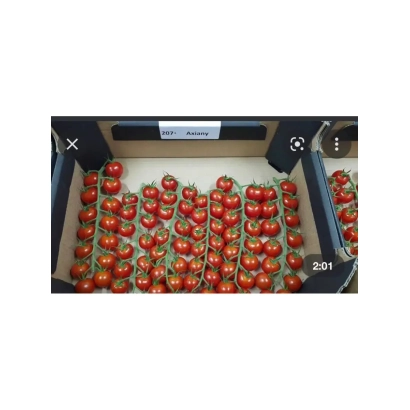 Коробка с красными помидорами сорта АКСИАНИ