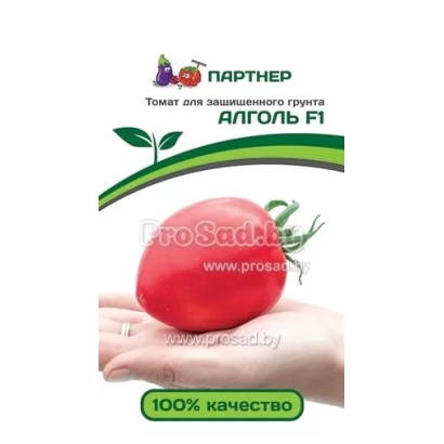Красный томат в ладони с надписью АЛГОЛЬ F1