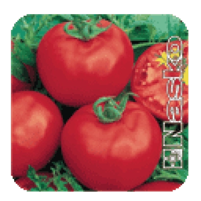 Пакет семян томата Яна с изображением красных плодов