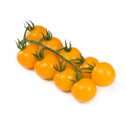 Желтые томаты сорта АННАДАРК на ветке