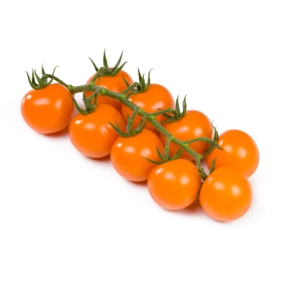 Свежие оранжевые томаты на ветке - АННИКО