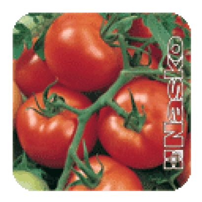 Пакет семян томата АРФА F1
