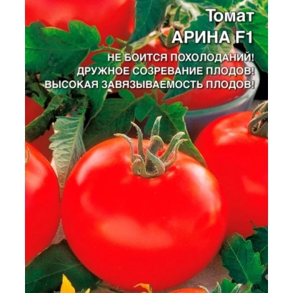 Крупные красные томаты сорта Арина F1 на фоне зелёных листьев