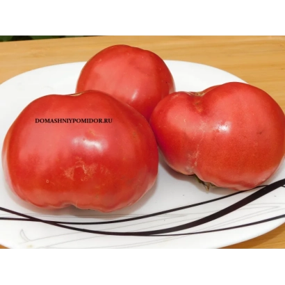 Томаты сорта Аркаим на белой тарелке