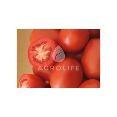 Свежие красные томаты с разрезанным плодом, логотип AGROLIFE - Арте F1