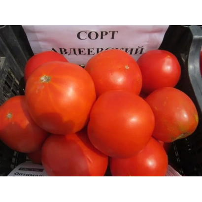 Красные томаты сорта Авдеевский в корзине