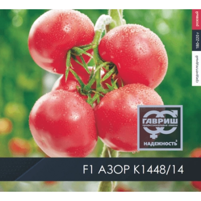 Красные помидоры сорта АЗОР на ветке