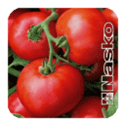 Пакет семян томата Баллада
