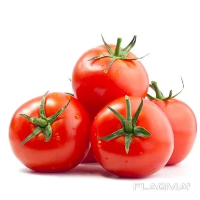 Красные томаты на белом фоне - БАНДИТОС