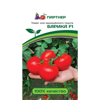 Семена томата сорта БАРИКА F1 на ладони с надписью 100% качество