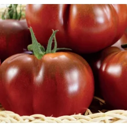 Крупные красные томаты в плетёной корзине - БЕГЕМОТ КОРИЧНЕВЫЙ