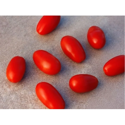 Красные томаты сорта БЭЛЛАСТАР на светлом фоне