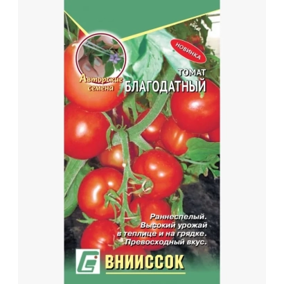 Пакет семян томата Благодатный с изображением красных плодов