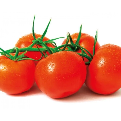 Свіжі червоні помідори на гілці - БЛІЦ