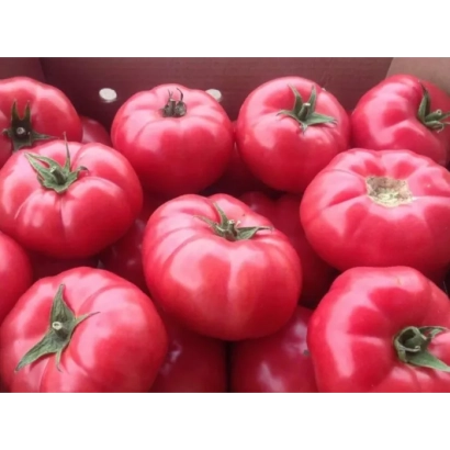 Червоні помідори сорту Богема в дерев'яному ящику