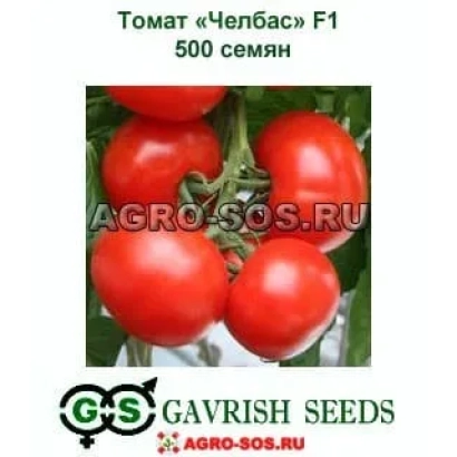 Пакет семян томата «Челбас» F1