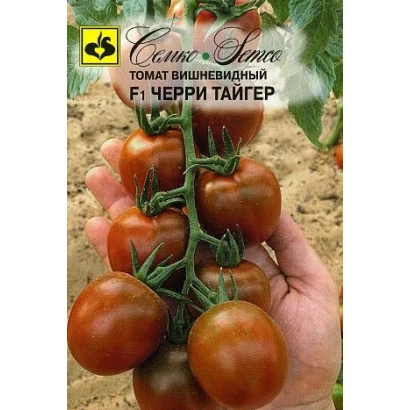 Семена томата Черри Тайгер на ветке с плодами - ЧЕРРИТАЙГЕР
