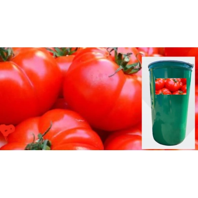 Чигиринський F1