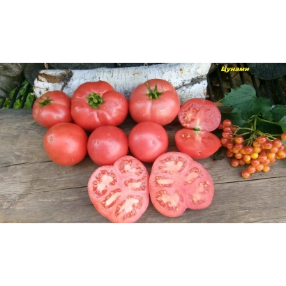 Red tomatoes of the TSUNAMI variety on a wooden surface with a sliced fruit and berries