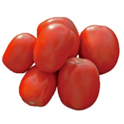 Красные томаты сорта СХД 219