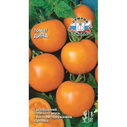 Семена томата Дина на фоне листьев