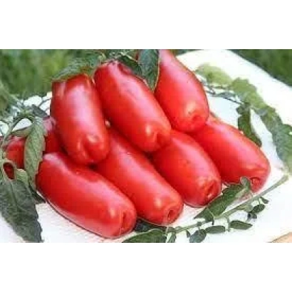 Красные томаты сорта Дрова на белой тарелке с зелеными листьями