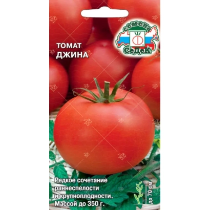 Пакет семян томата ДЖАНА с изображением красных плодов