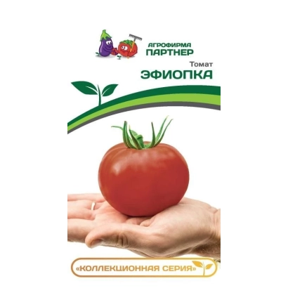 Томат ЭФИОПКА на ладони с логотипом ЛЕГЕНДА ПАРТНЕР