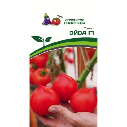Семена томата ЭЙВА F1 на фоне красных плодов
